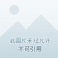 血族2024年角色返场