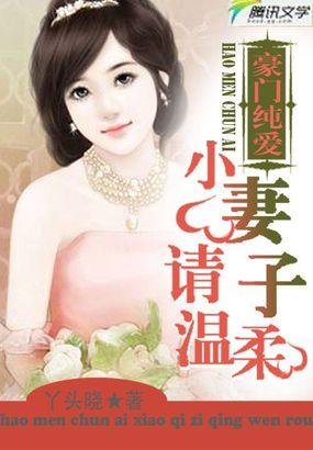 豪门小老婆免费全文