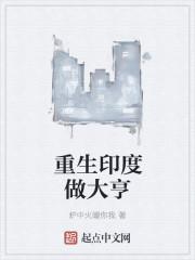 重生之印度大亨txt