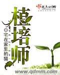 植培师宅在家里的猫