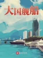大国舰船TXT