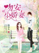 吻安小娇妻免费阅读