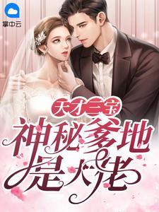 风千雪夜震霆免费阅读