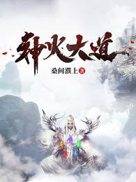 神火大道南延规划图