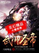 武御圣帝免费
