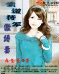霸道将军苦追妻