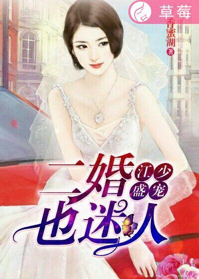 二婚盛宠