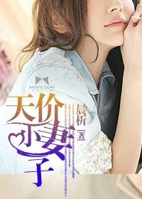 天价宠婚总裁的小妻子