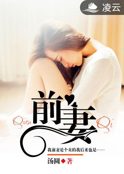 前妻的车站电视剧演员表