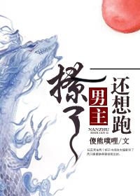 撩了男主他哥在线阅读