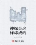 神探说的是什么意思