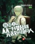 海贼王之绿巨人免费版
