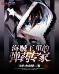 海贼王铅弹