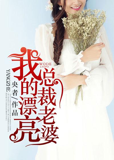 我的美女总裁老婆免费阅读全文