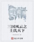 电影三国风云之战