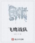 飞鹰战队演员表大全