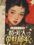 几年前的军婚