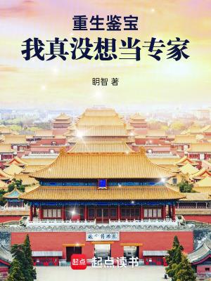 重生鉴宝我真没想当专家