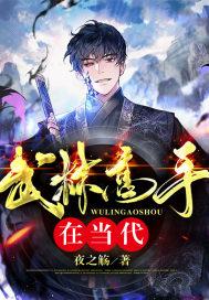 武林高手在当代简介