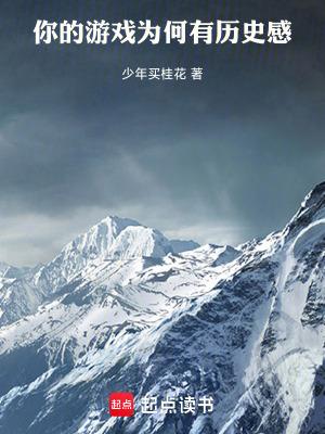 游戏中的历史