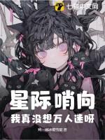 星际哨兵向导的推荐