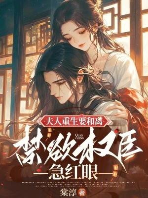 重生夫人要离婚穿书