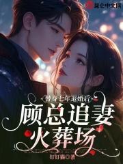 替身七年退婚后顾总追妻火葬场的叫什么名字