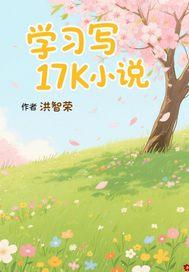 17k写用什么软件