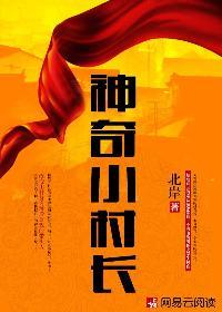 神奇小村长txt
