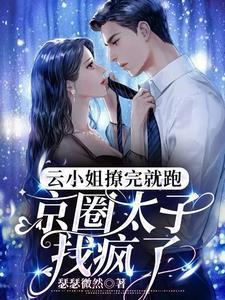 云小姐的高冷男神免费