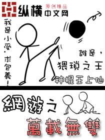 网游之天下无双无弹窗