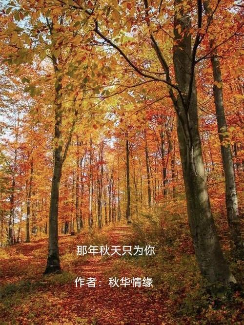 那年秋天我为你写的信