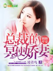 睡睡平安毒舌总裁甜上瘾