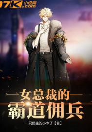 女总裁的霸道佣兵全文阅读