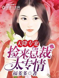 天降总裁追逃妻