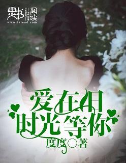 爱在时光海全文免费阅读