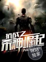 抗战之杀神白起txt