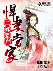 二嫁全文免费阅读