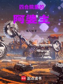 四合院里的阿婆主全本免费阅读