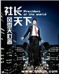 社长天下TXT