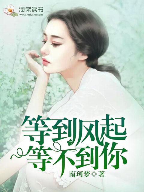 我等到了风却没有等到你