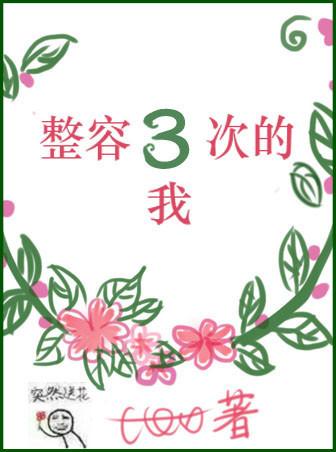 整容3次的我txt