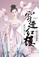 穿成红楼晴雯