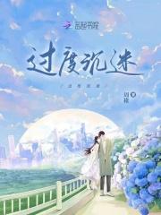 过度沉迷安次甘儿免费阅读