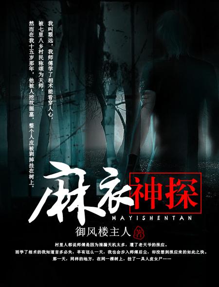 麻衣神探结局