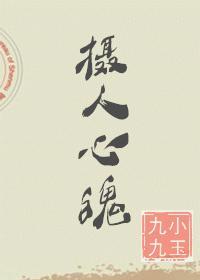 摄人心魄可以形容人吗