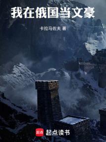 我在俄国当文豪原著