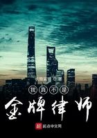 我真不是金牌律师免费阅读