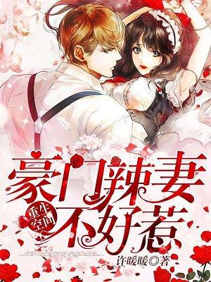 豪门辣妻不好惹
