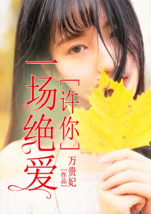 许你一场倾城